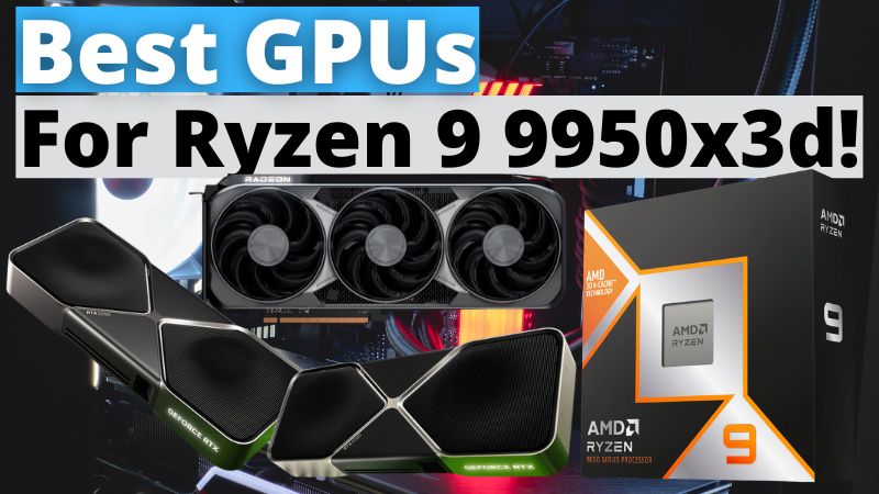 Best GPUs For Ryzen 9 9950X3d